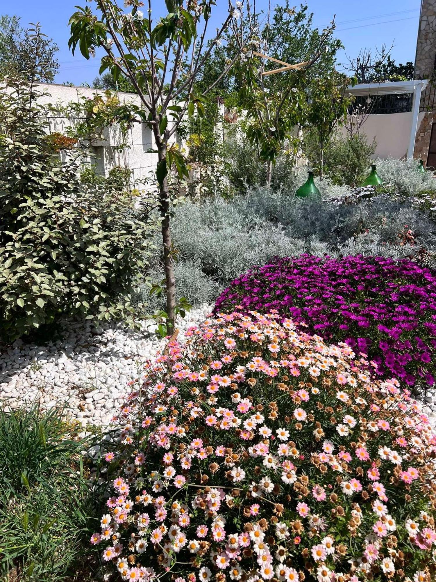 Villa Casa Vacanze Fiore Gallipoli Exterior foto