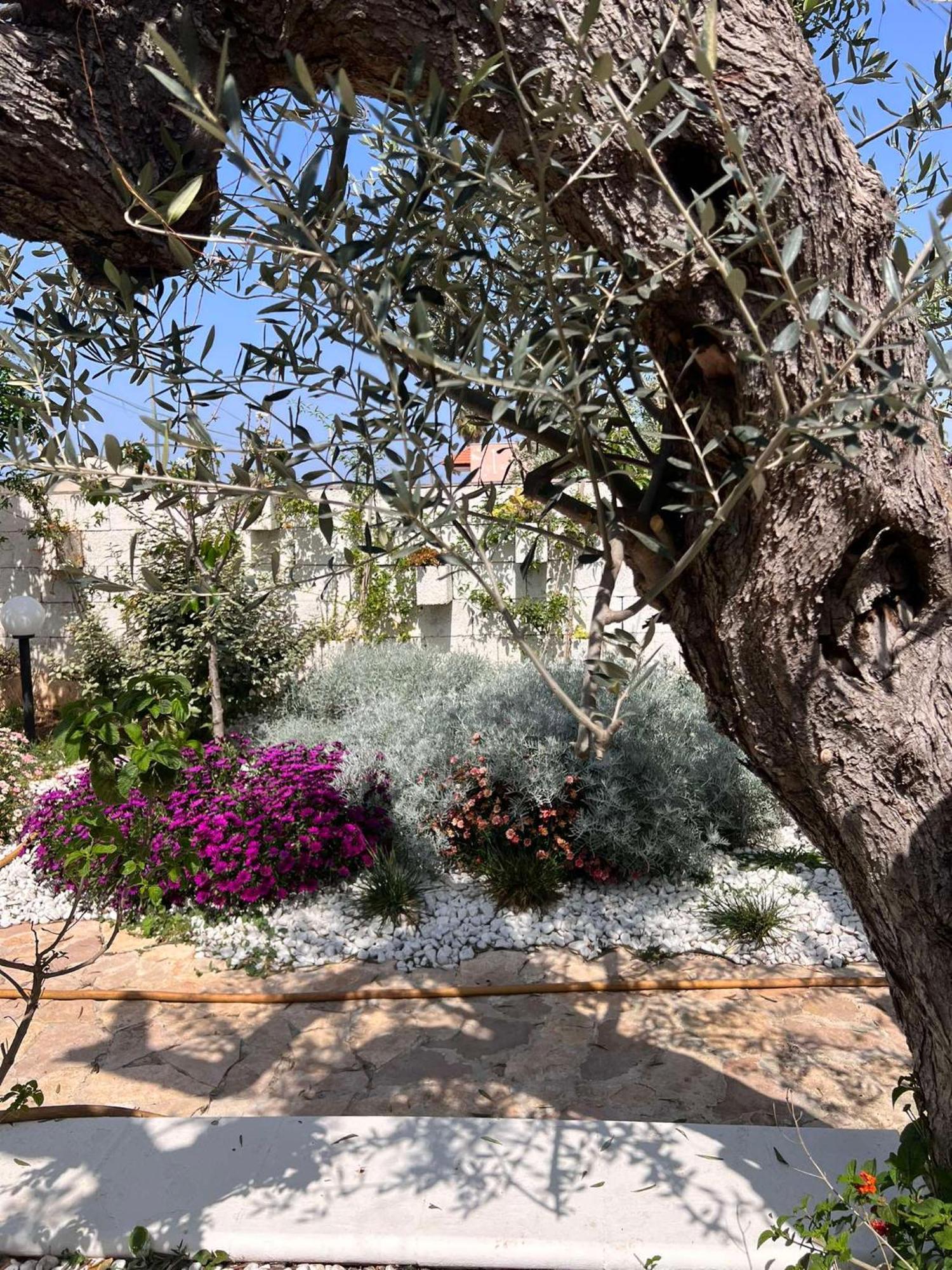 Villa Casa Vacanze Fiore Gallipoli Exterior foto